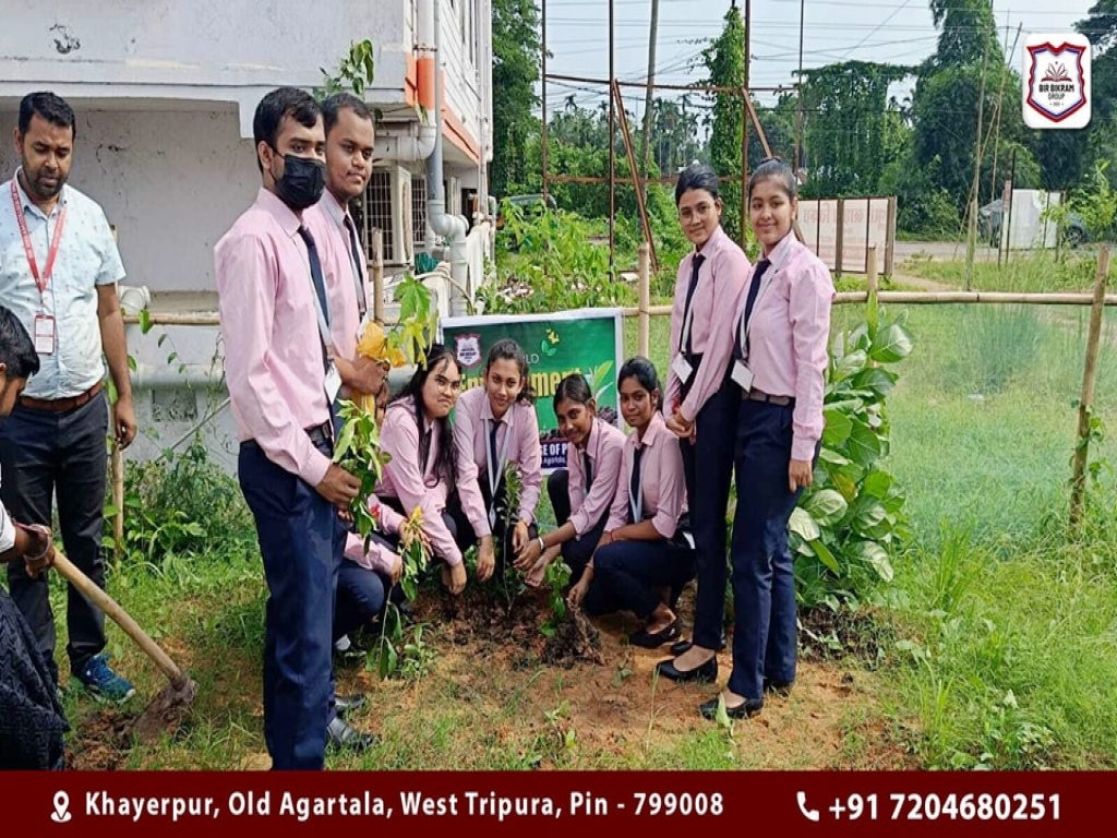 Environment Day 2024